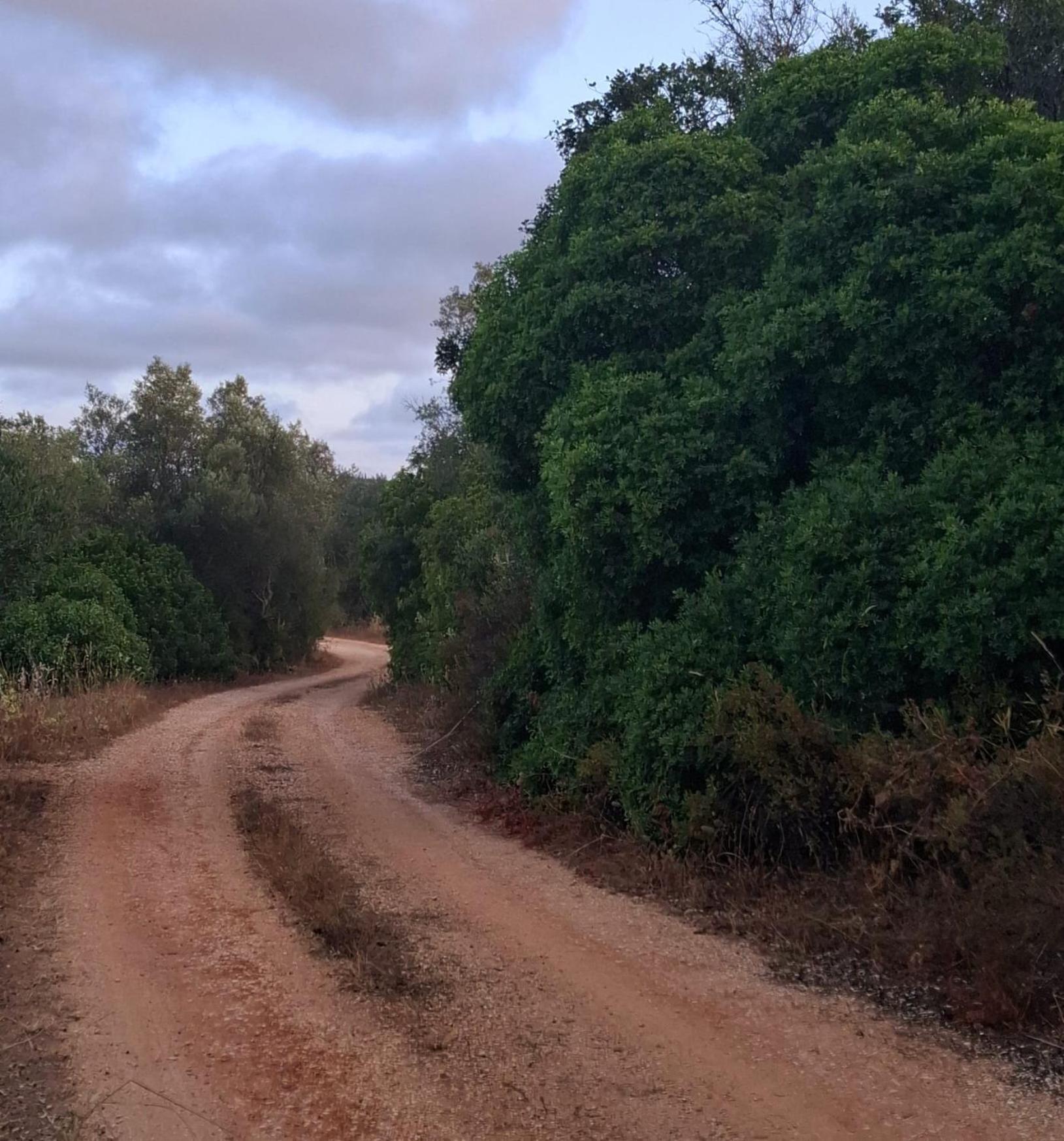 Hébergement de vacances Quinta Ribeirinha - Lagos