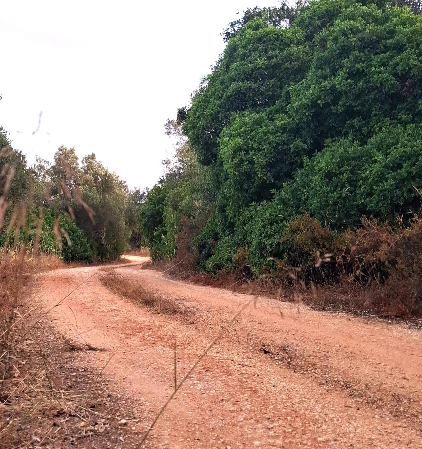 Quinta Ribeirinha -